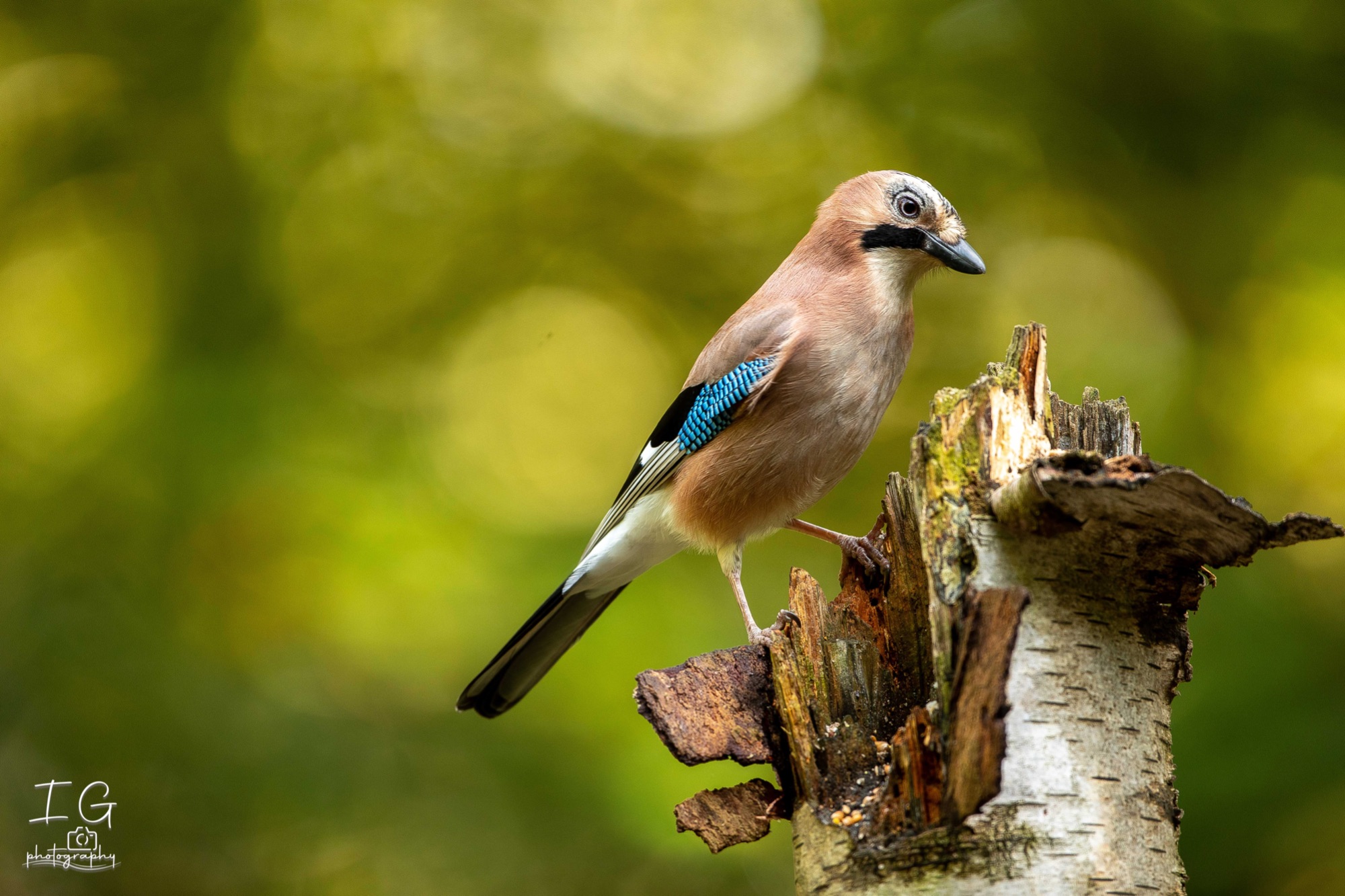 20211015  5D49105 instagram